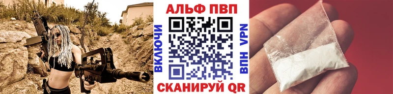 A PVP крисы CK  Терек 