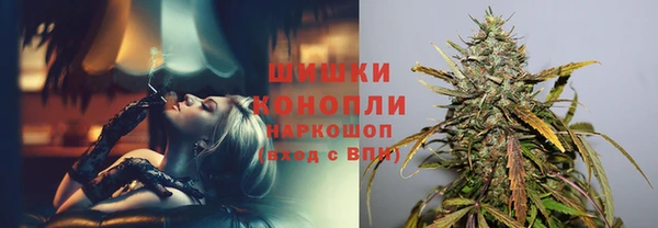 сатива Сафоново
