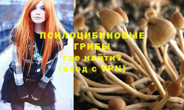 синтетический гашиш Саяногорск