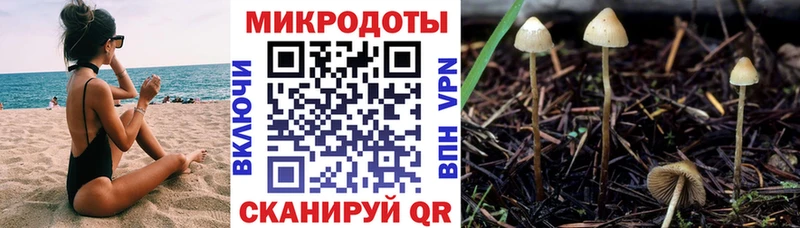 Галлюциногенные грибы мухоморы  Терек 